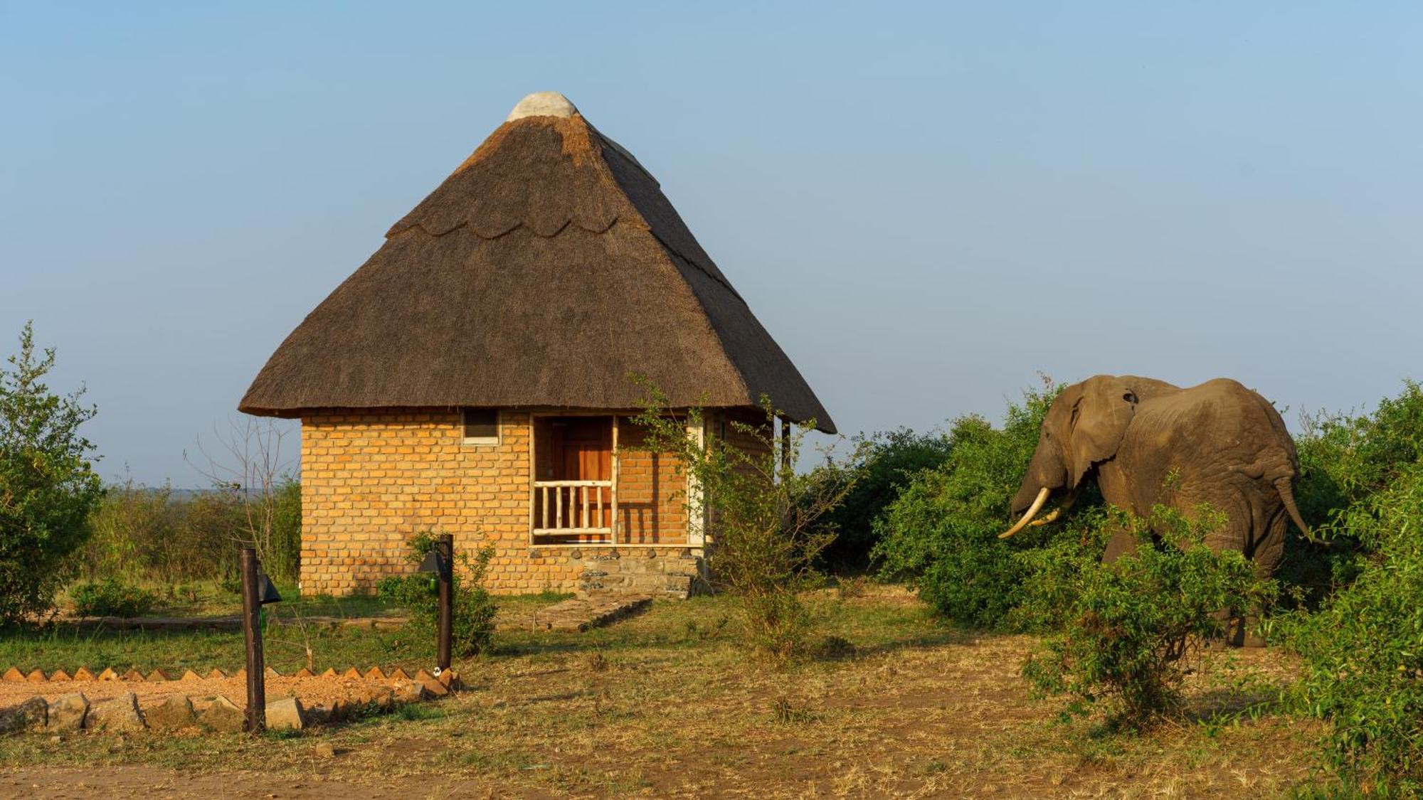 Tabingi Safari Cottages Katunguru Exteriér fotografie