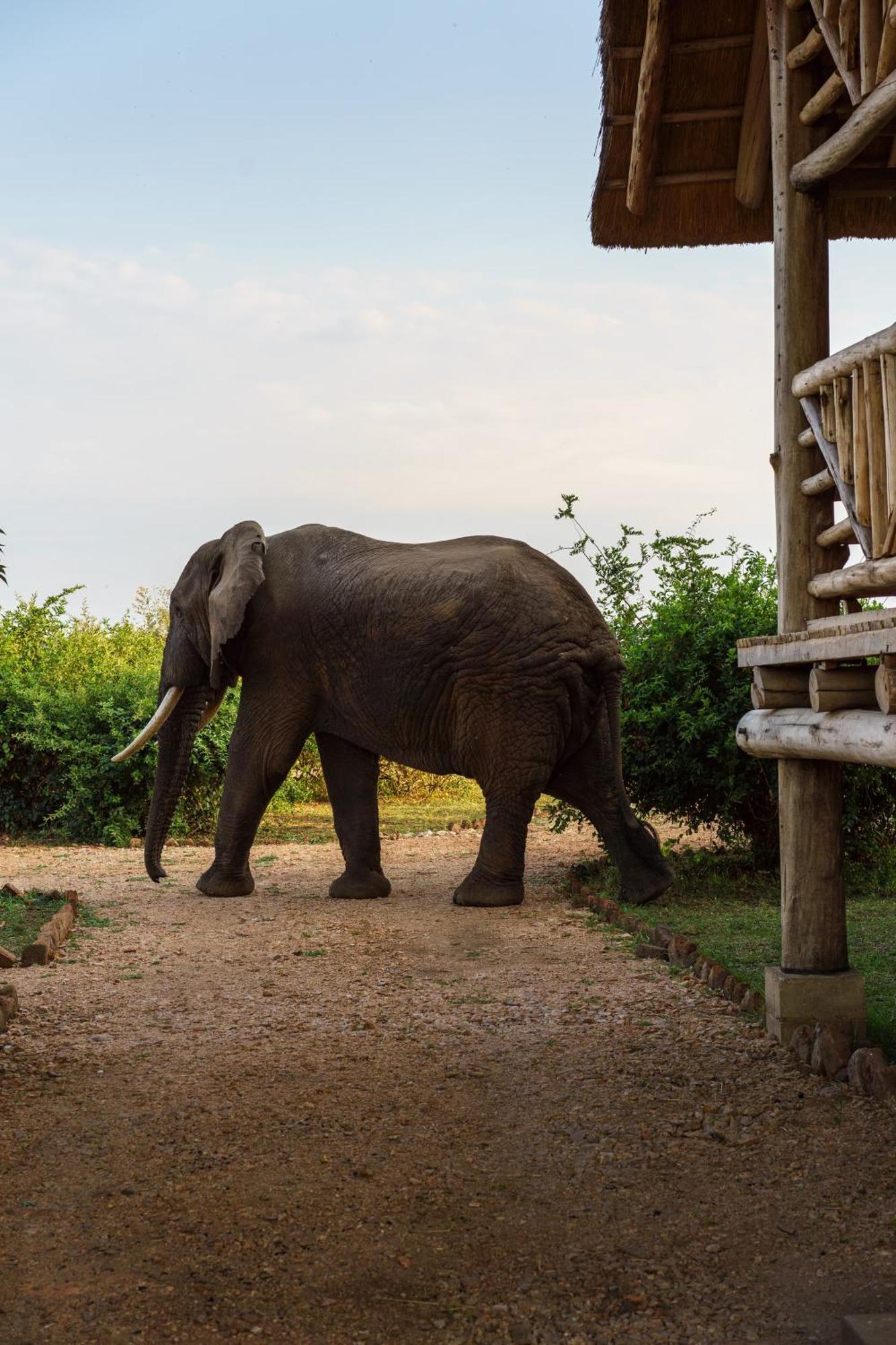 Tabingi Safari Cottages Katunguru Exteriér fotografie