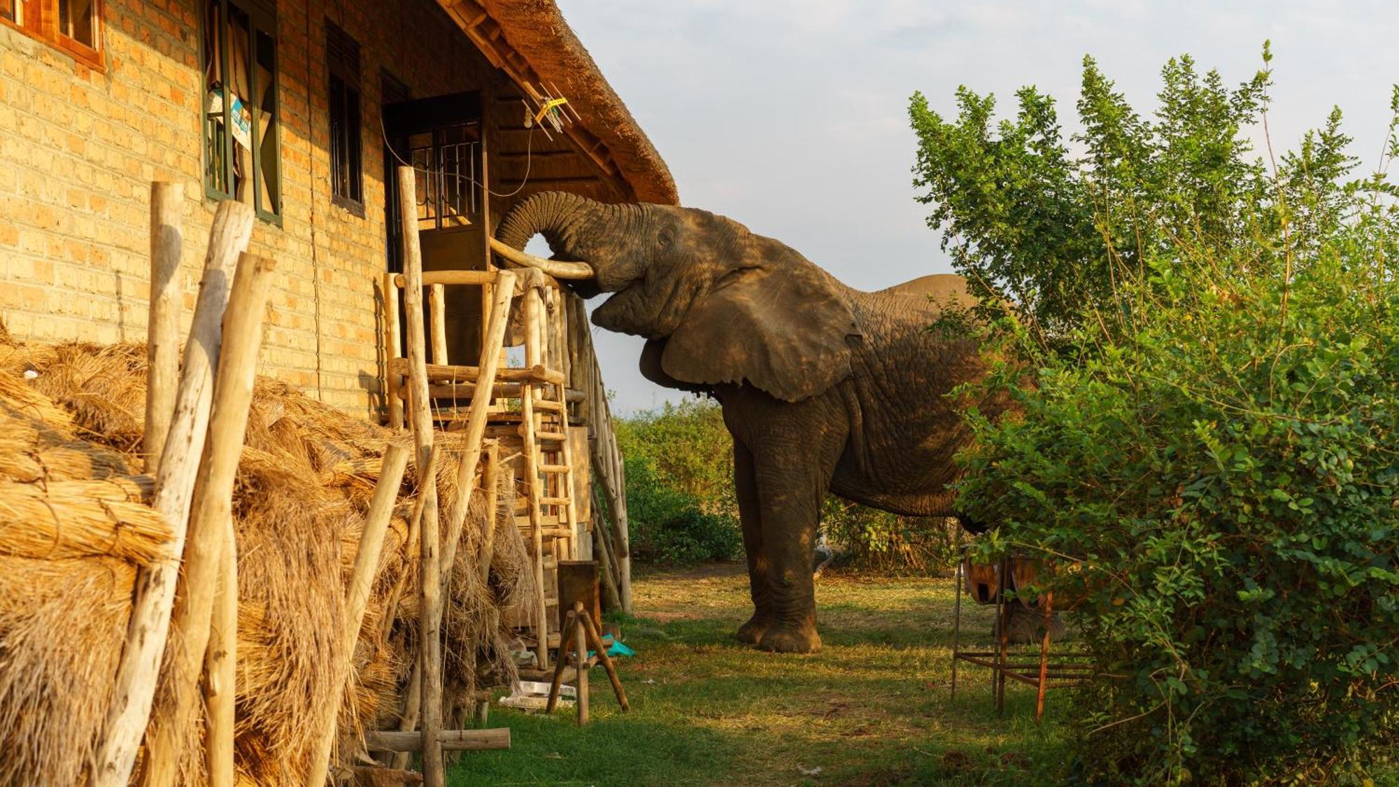 Tabingi Safari Cottages Katunguru Exteriér fotografie