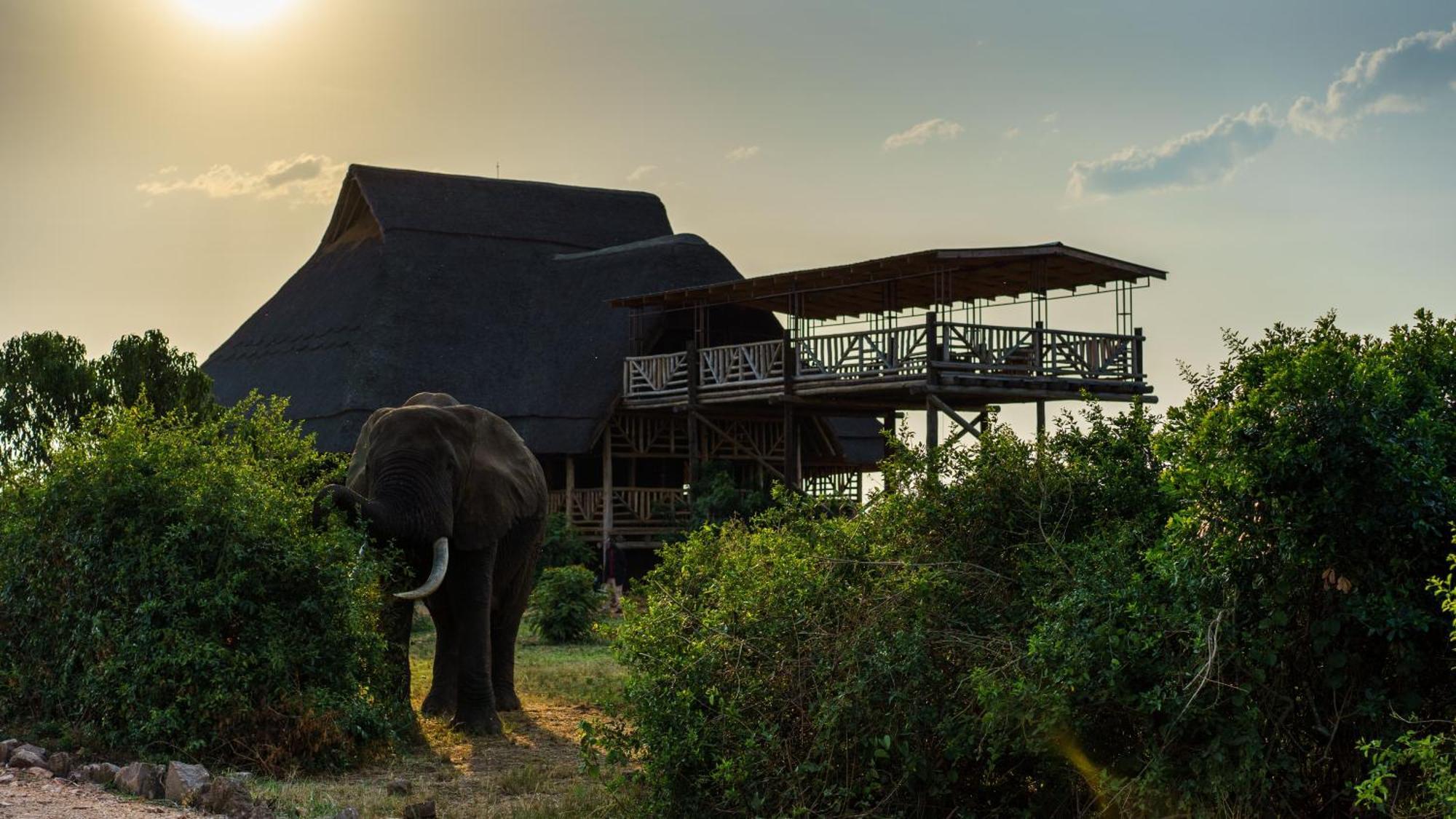 Tabingi Safari Cottages Katunguru Exteriér fotografie