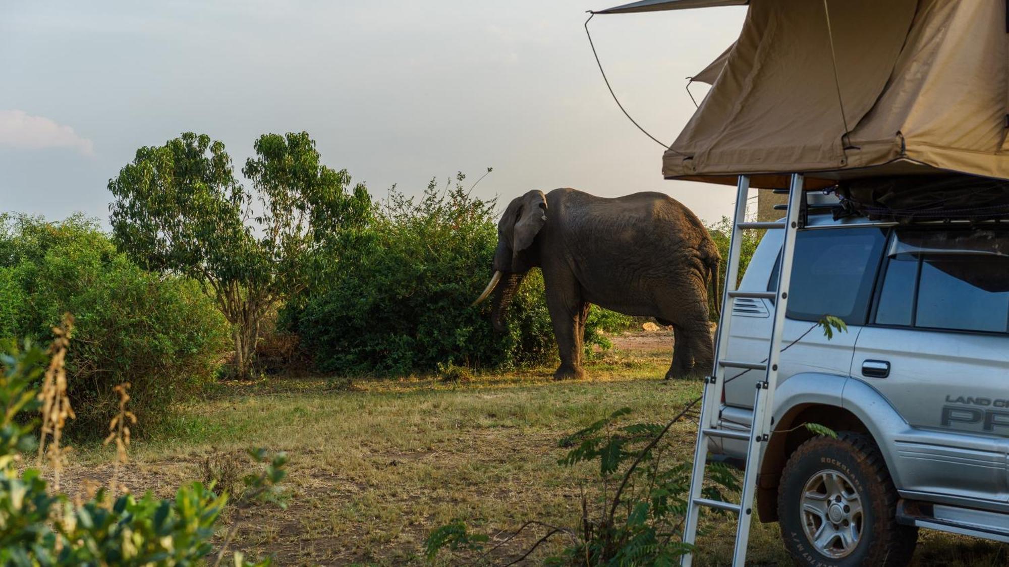 Tabingi Safari Cottages Katunguru Exteriér fotografie