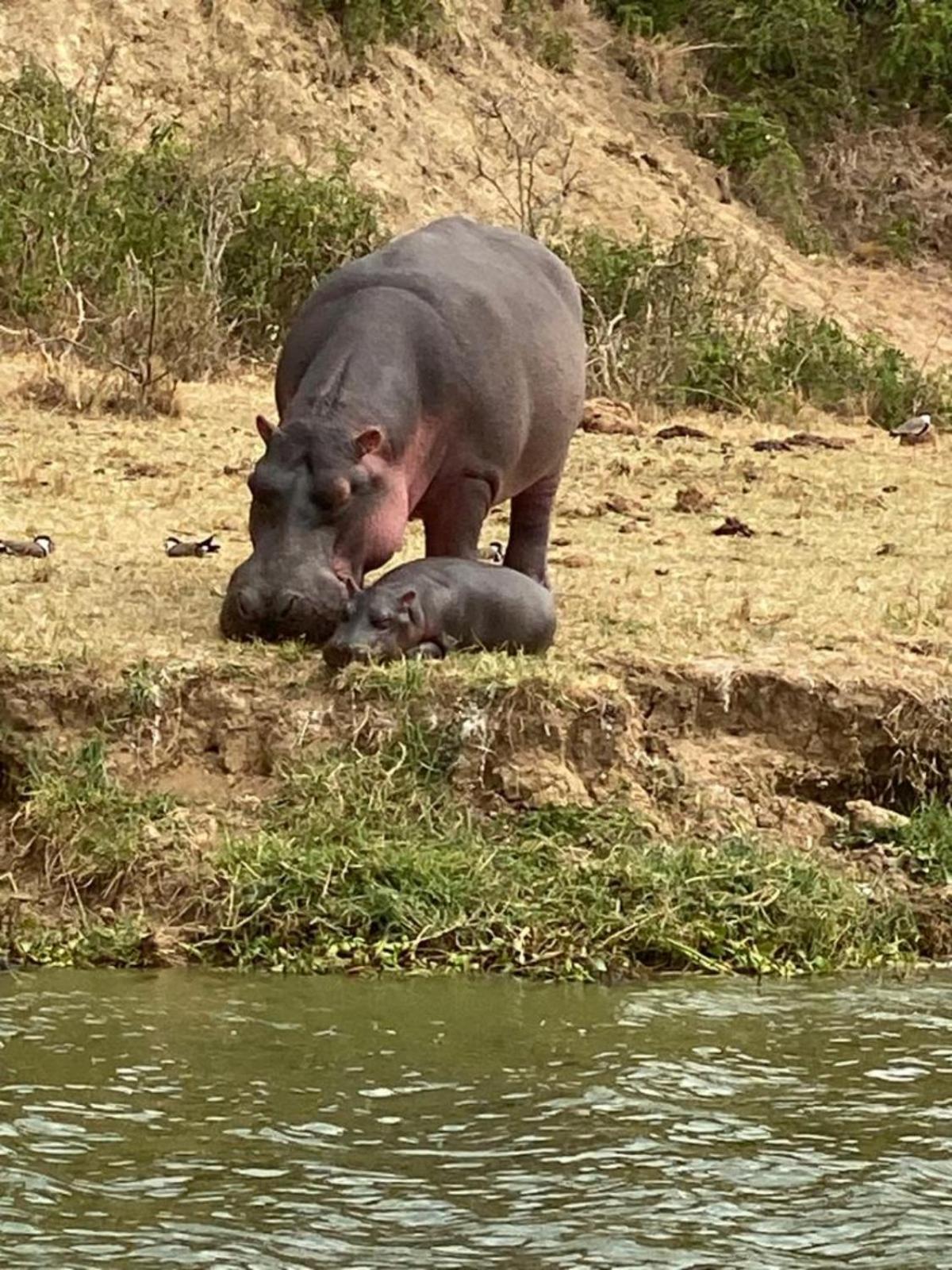 Tabingi Safari Cottages Katunguru Exteriér fotografie